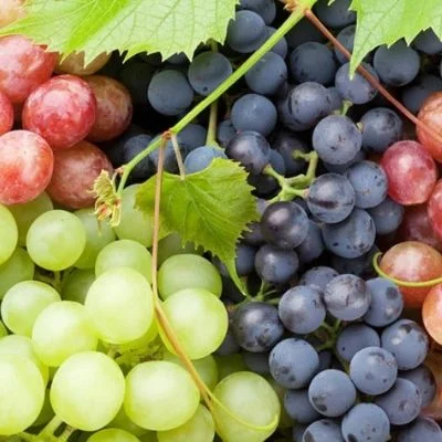 GRAPES ‘ASSORTED’